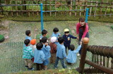 img0038.jpg