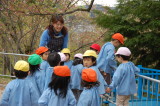 img0001.jpg