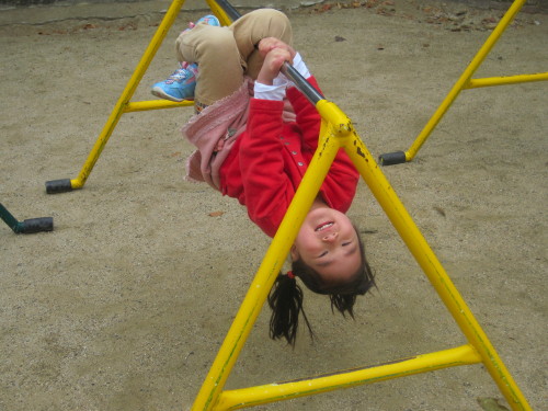 img0037.jpg