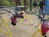 img0016.jpg