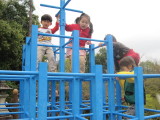 img0019.jpg