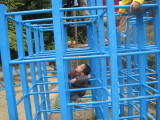 img0020.jpg