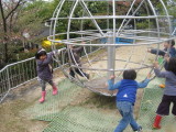 img0035.jpg
