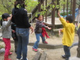 img0044.jpg
