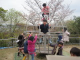 img0058.jpg