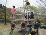 img0063.jpg