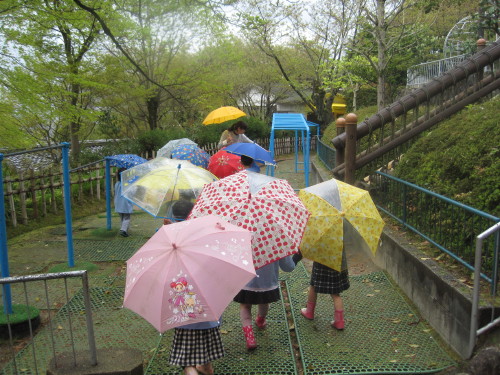 img0025.jpg