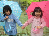 img0027.jpg