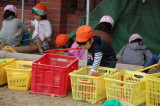 img0019.jpg