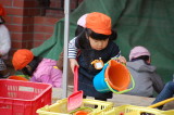img0020.jpg
