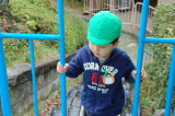 img0024.jpg