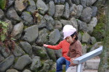 img0038.jpg