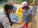 img0011.jpg