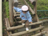 img0016.jpg