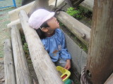 img0027.jpg