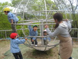 img0031.jpg