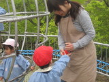 img0049.jpg