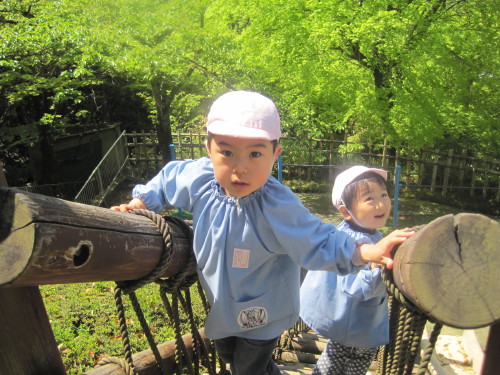 img0042.jpg
