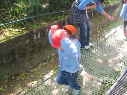 img0063.jpg
