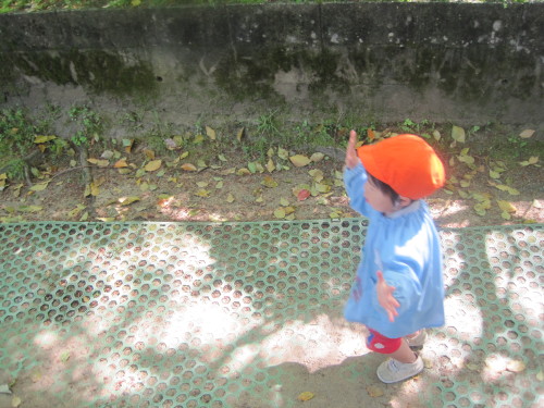 img0064.jpg