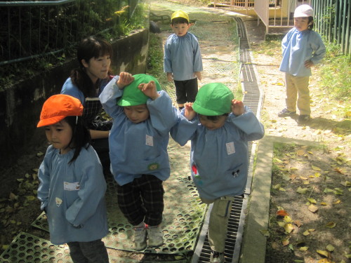 img0067.jpg