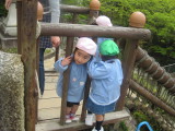 img0005.jpg