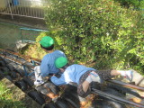img0035.jpg