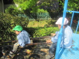 img0037.jpg