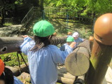 img0038.jpg