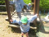 img0040.jpg