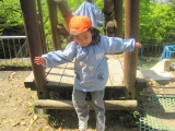 img0041.jpg
