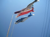img0043.jpg