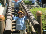img0045.jpg