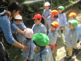 img0061.jpg