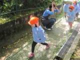 img0062.jpg