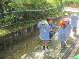 img0065.jpg