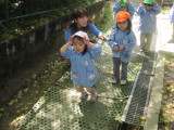 img0066.jpg