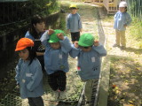 img0067.jpg