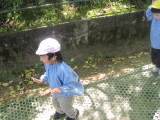 img0068.jpg