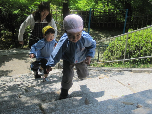 img0006.jpg