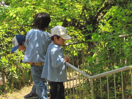 img0000.jpg