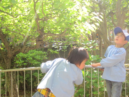 img0001.jpg