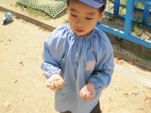 img0017.jpg