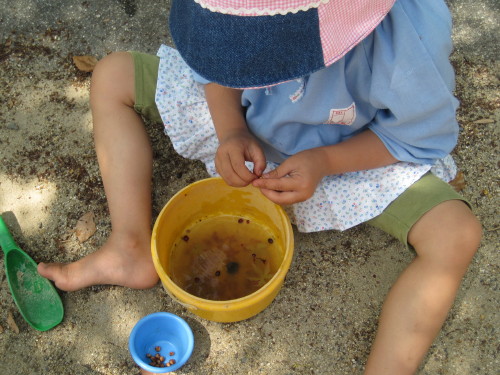 img0022.jpg
