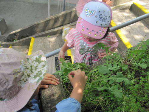 img0035.jpg