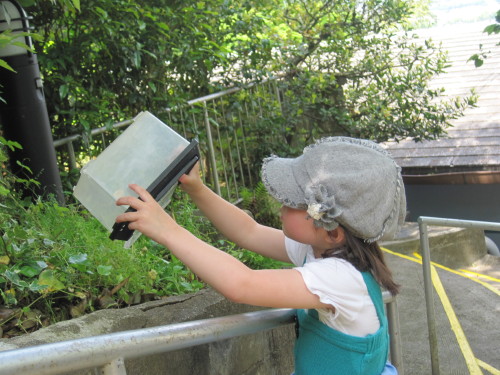 img0038.jpg