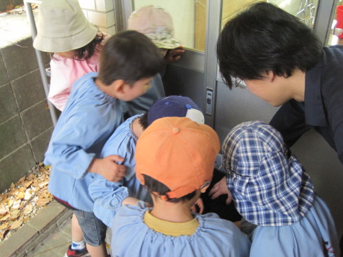 img0039.jpg