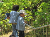img0000.jpg