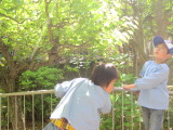 img0001.jpg