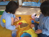 img0006.jpg